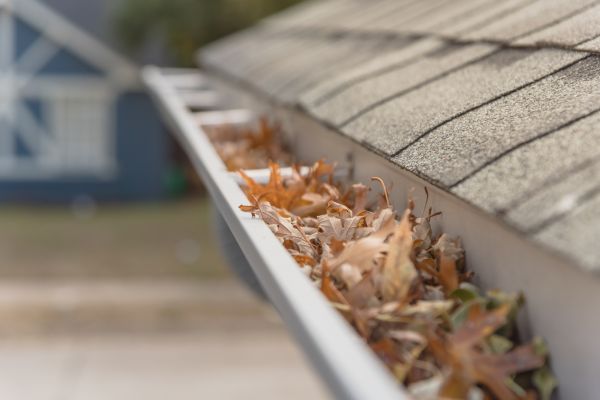 Leaf Barrier Installation in Canonsburg